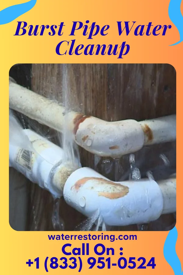 Burst Pipe Water Cleanup in Leedey, OK